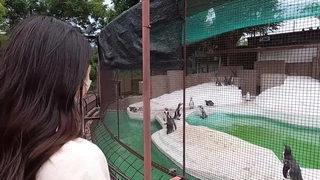【3D】我的女朋友和我的大学女性朋友
