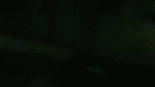双胞胎姐妹和亲生爸爸